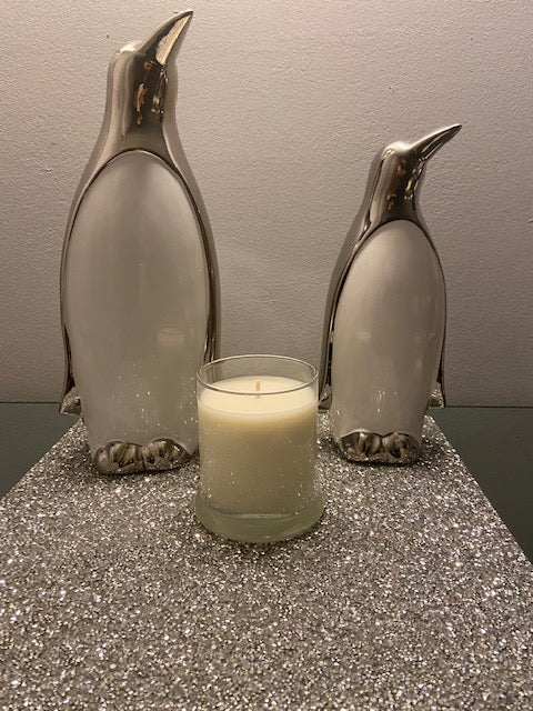 10 Ounce Soy Candle